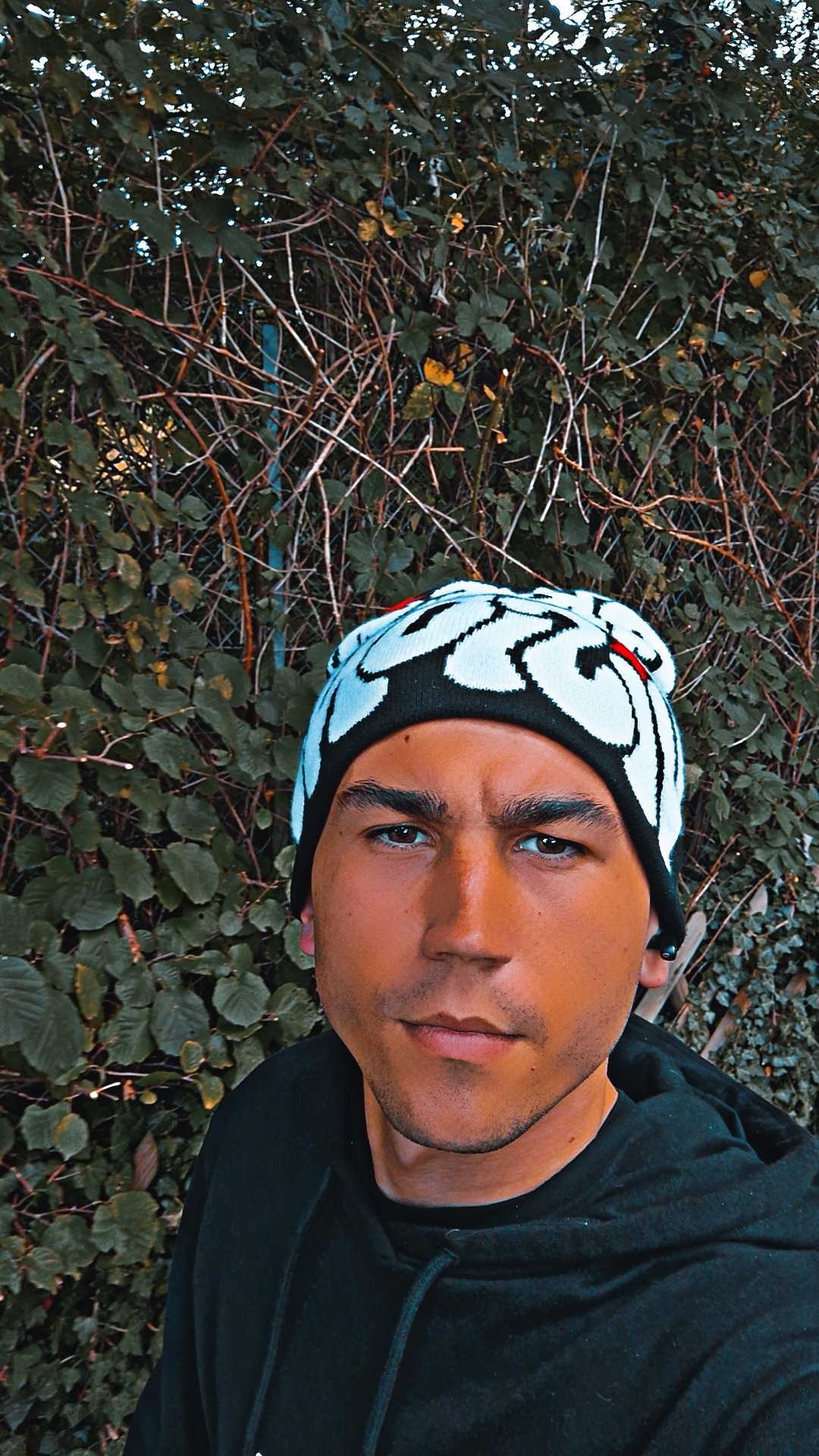 Perfil de Dowson
