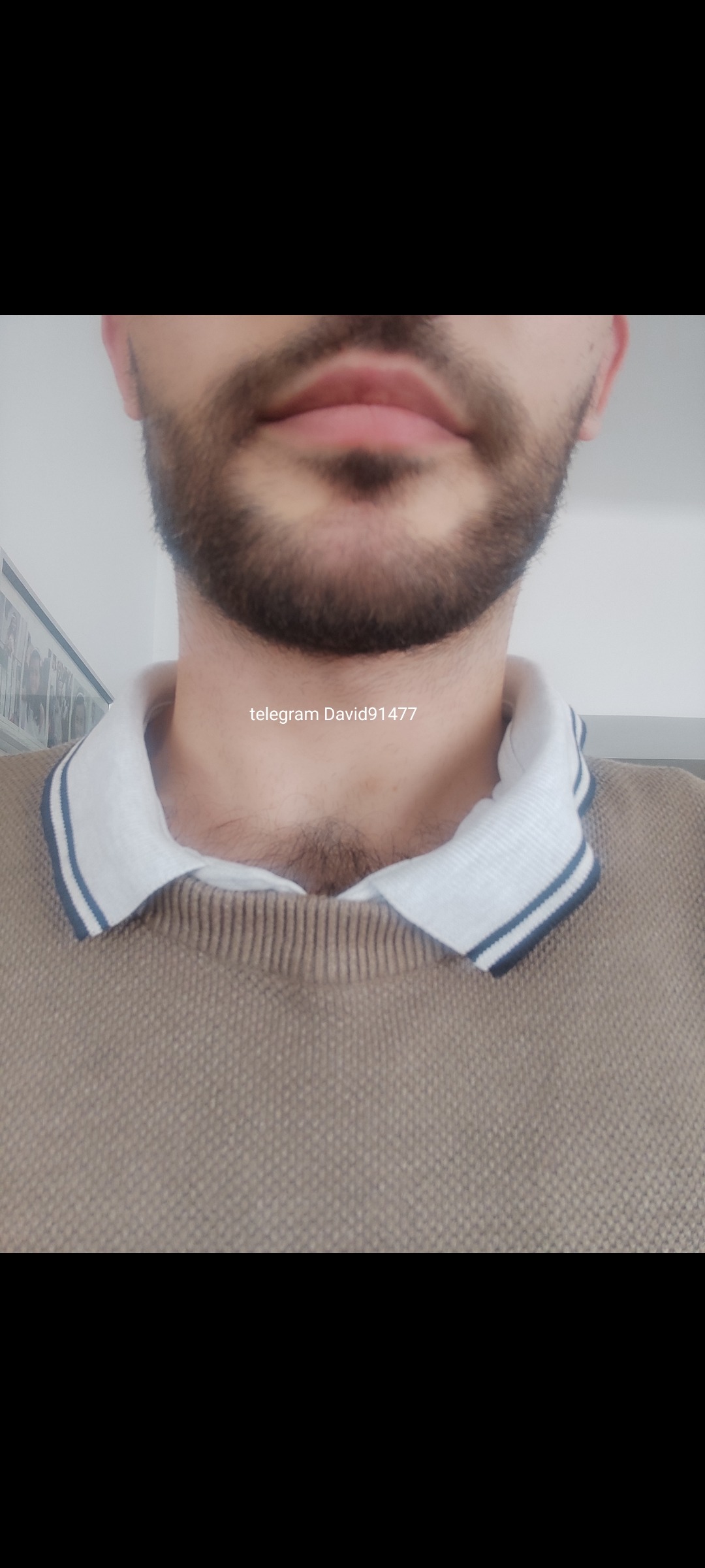 Perfil de Tolga