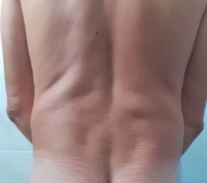 Perfil de Tany