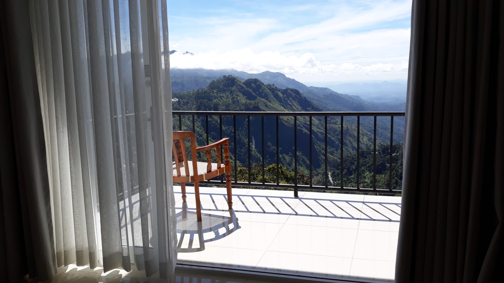 Perfil de Selva