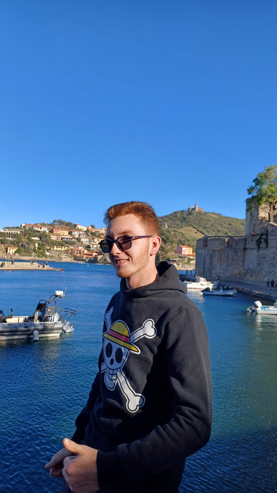 Perfil de Hong