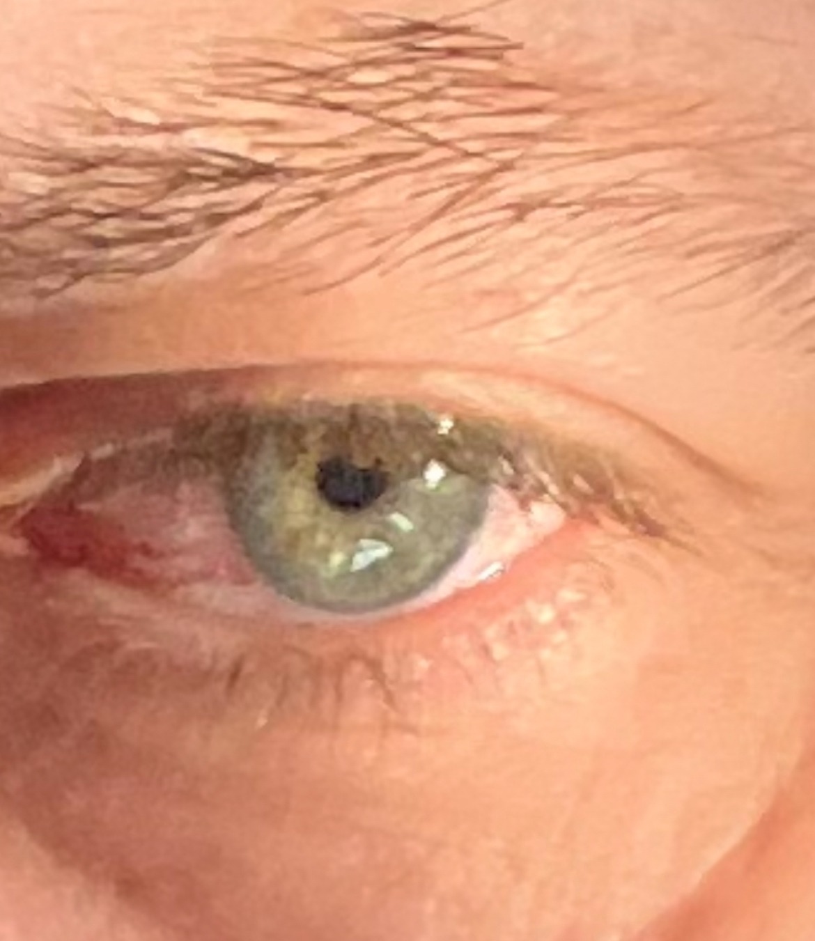 Perfil de Juliano