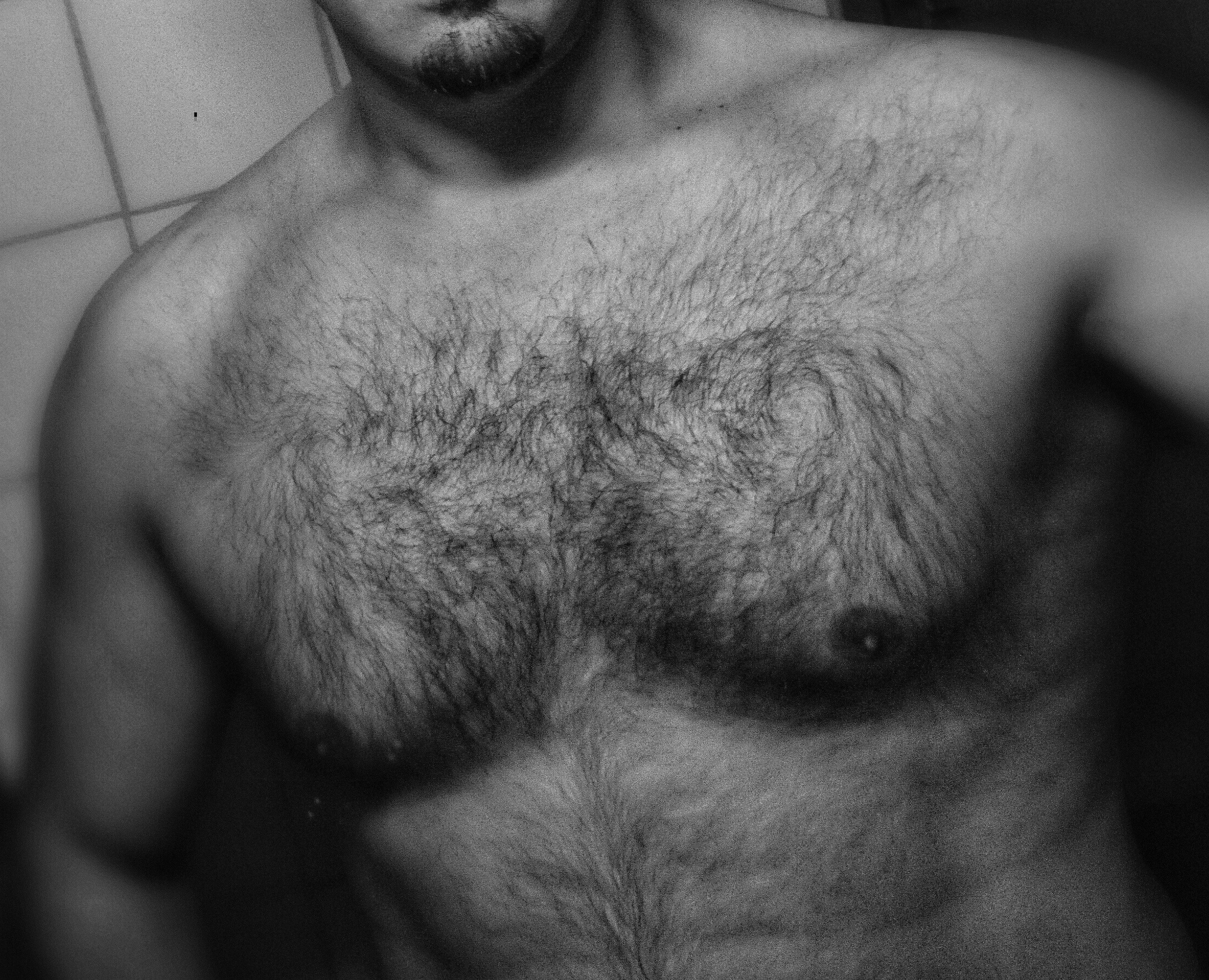 Perfil de Ellio