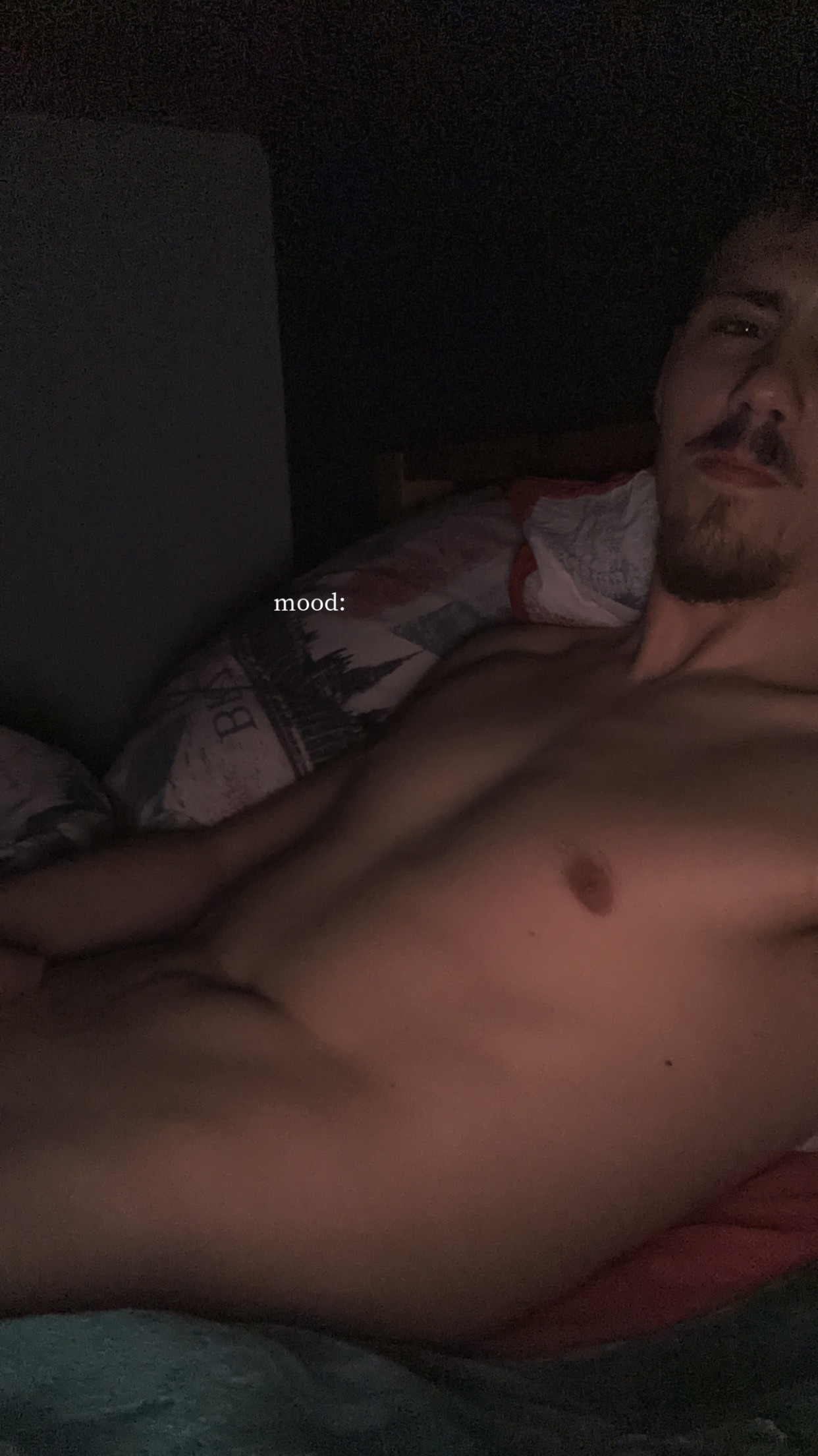 Perfil de Amza