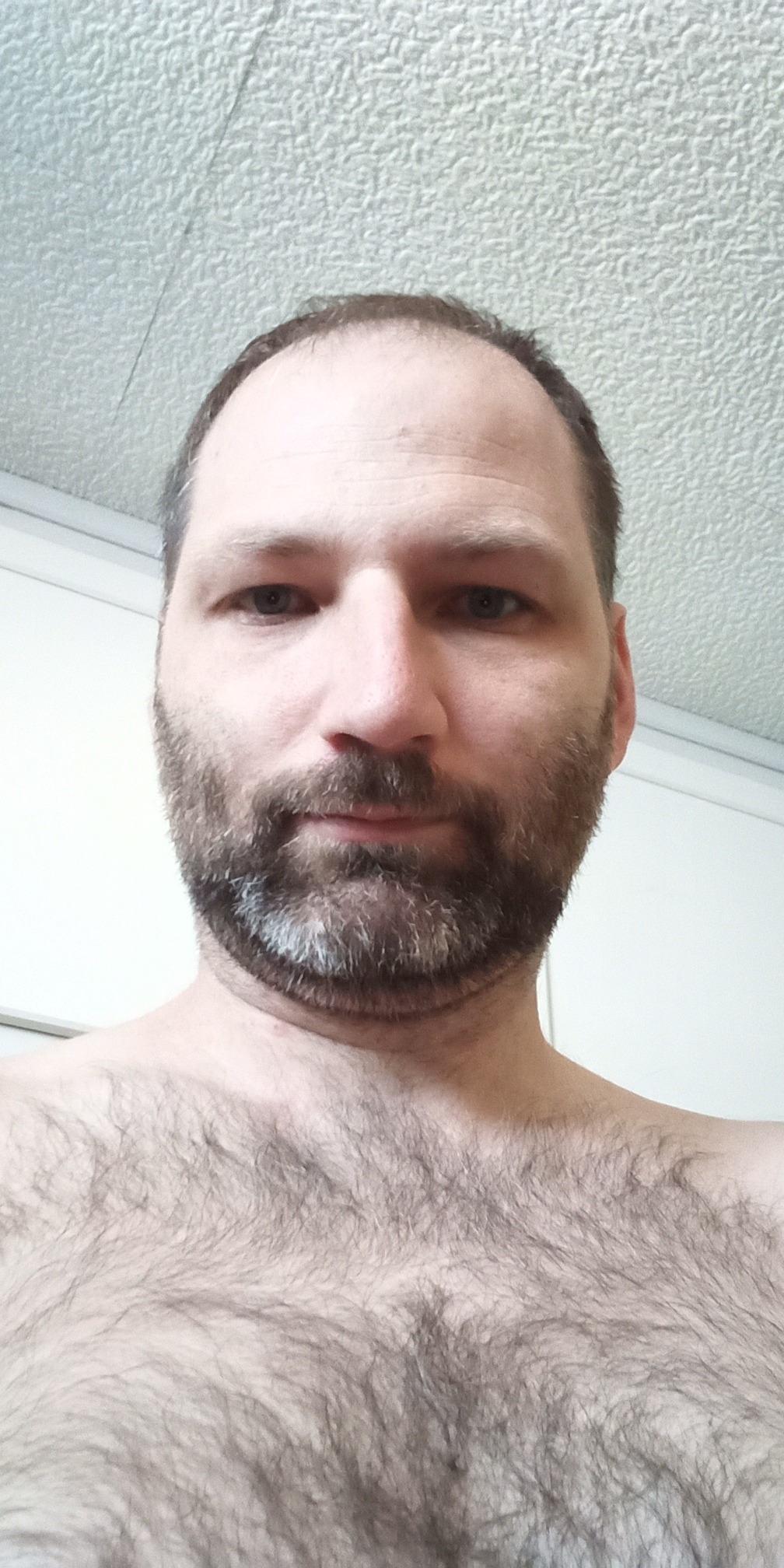 Perfil de Paul-loup