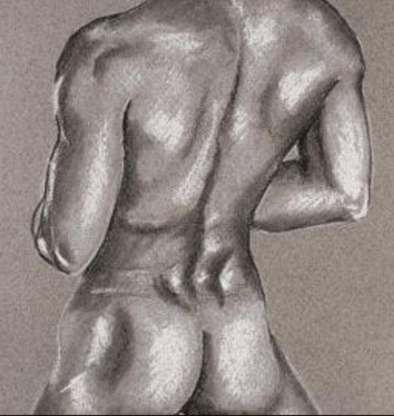 Perfil de Venance
