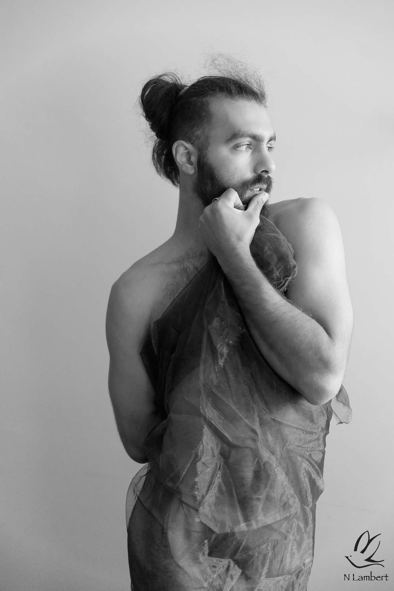 Perfil de Dembo