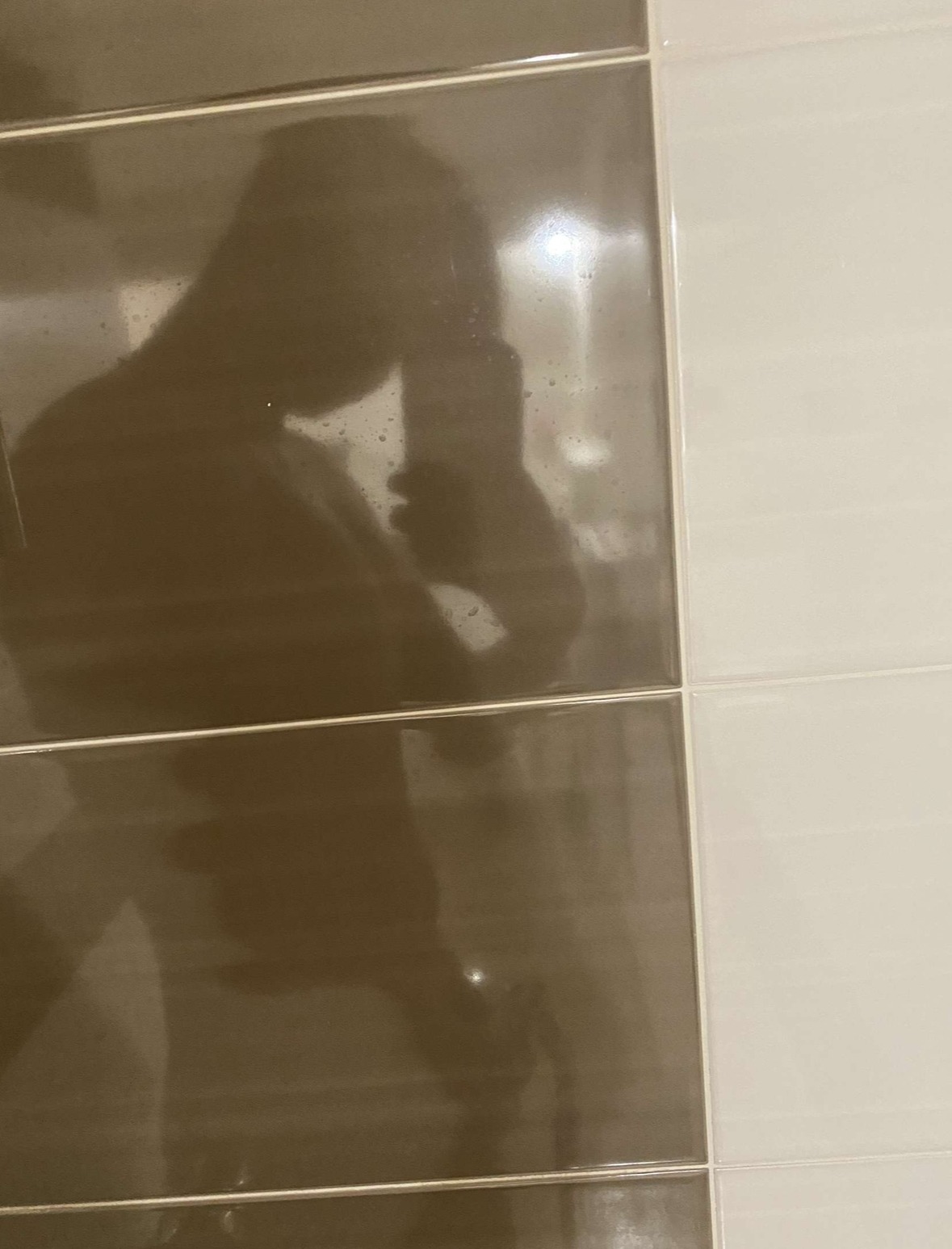 Perfil de Sanoussi
