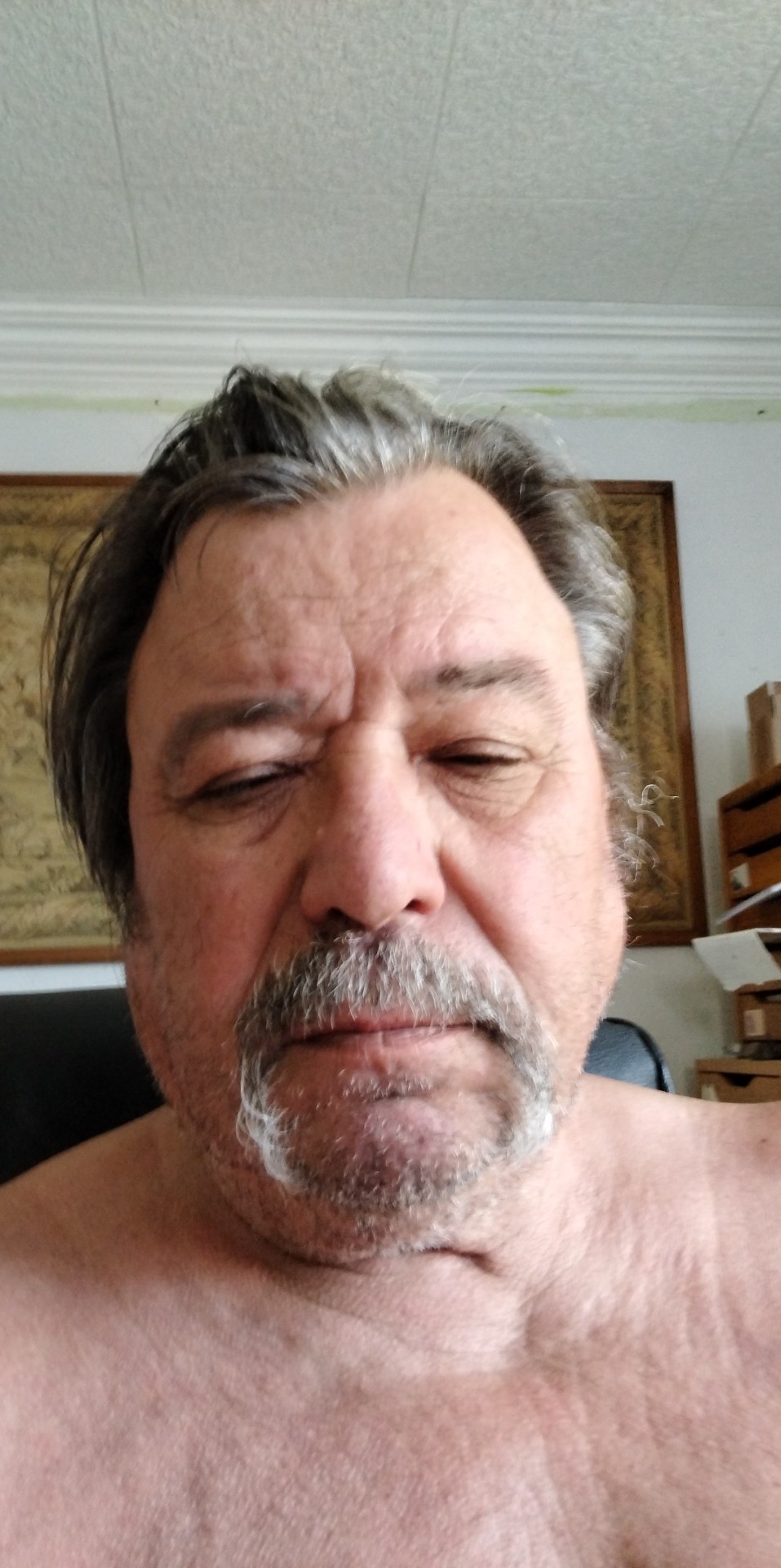 Perfil de Shain