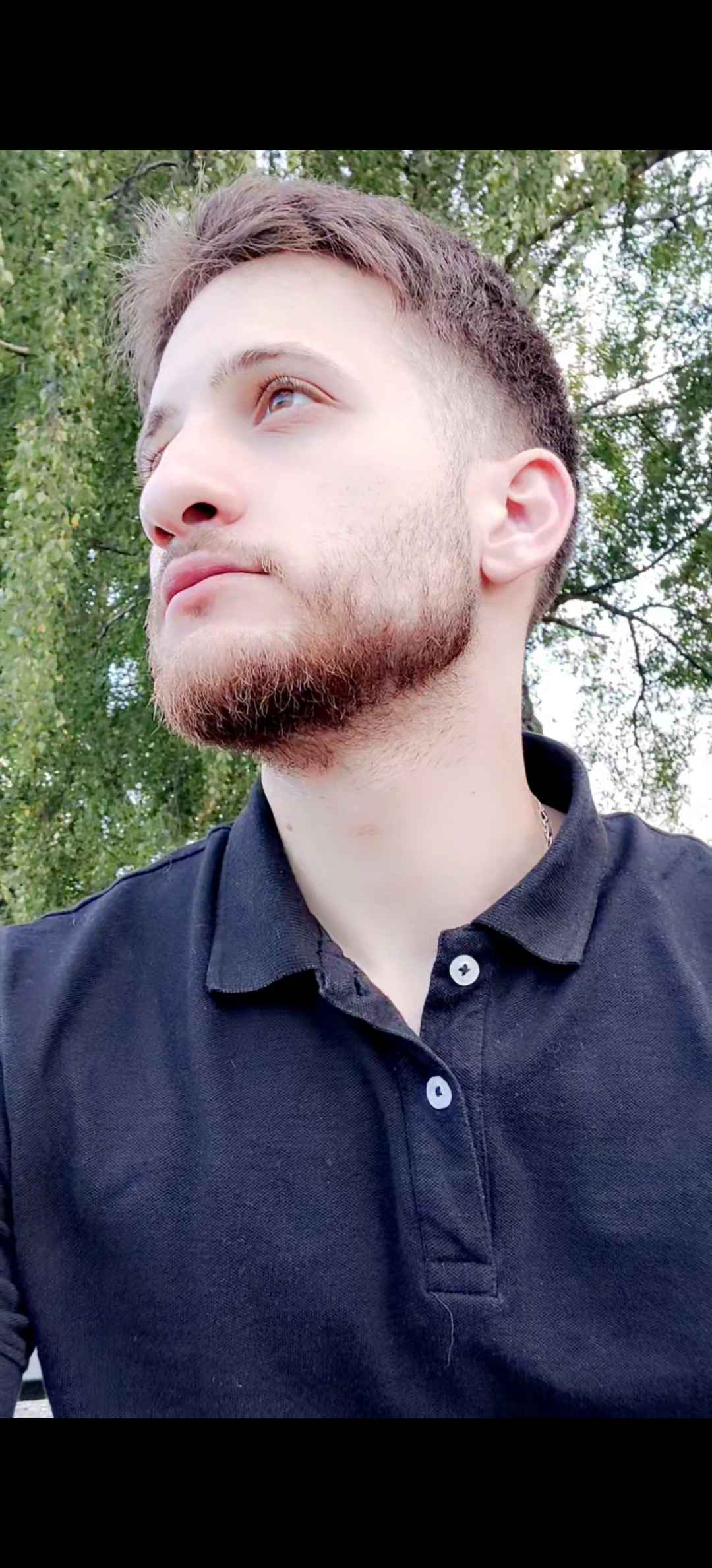 Perfil de Leonidas