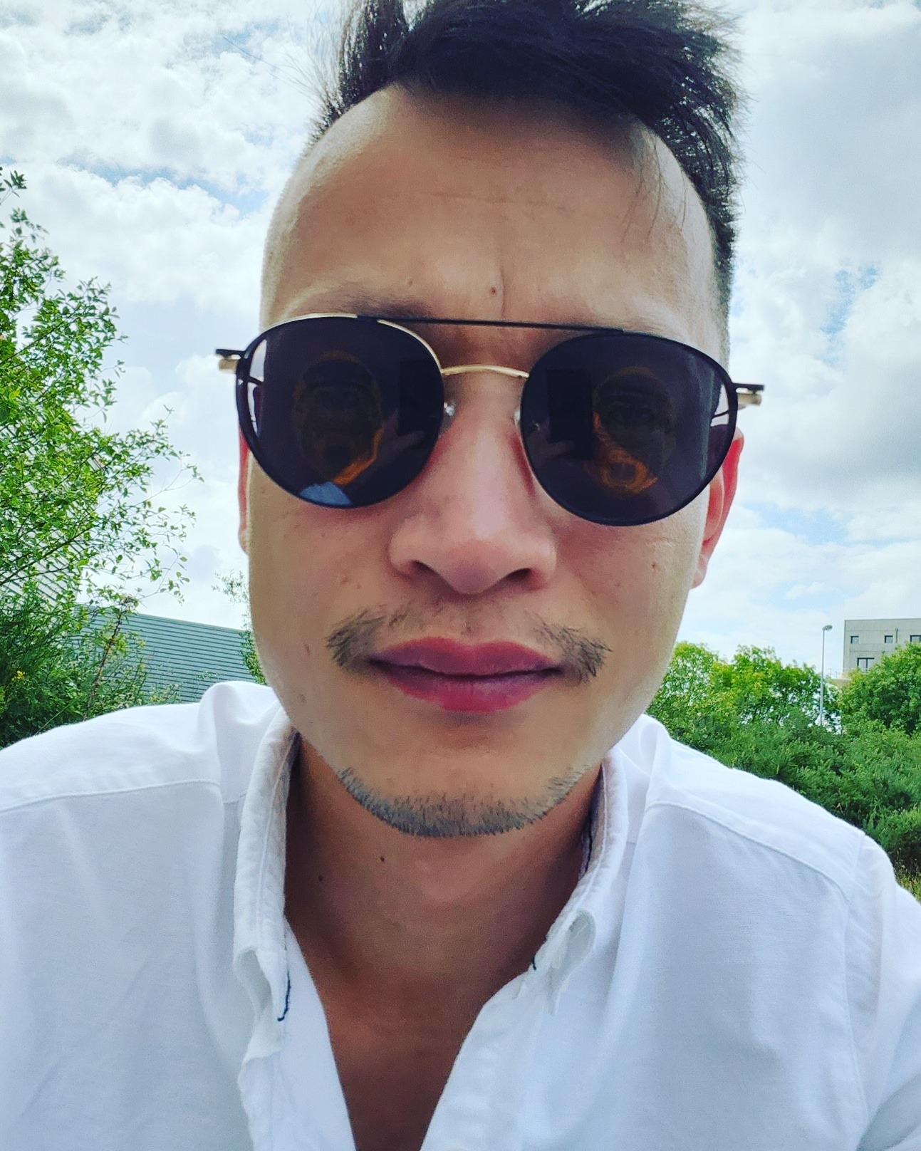 Perfil de Alpha